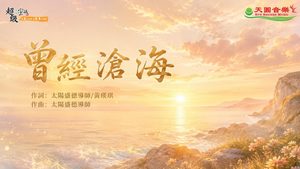 曾經滄海