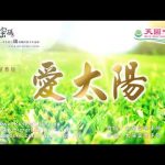 愛太陽