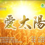 愛太陽