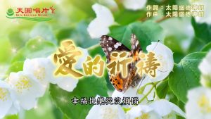 愛的祈禱